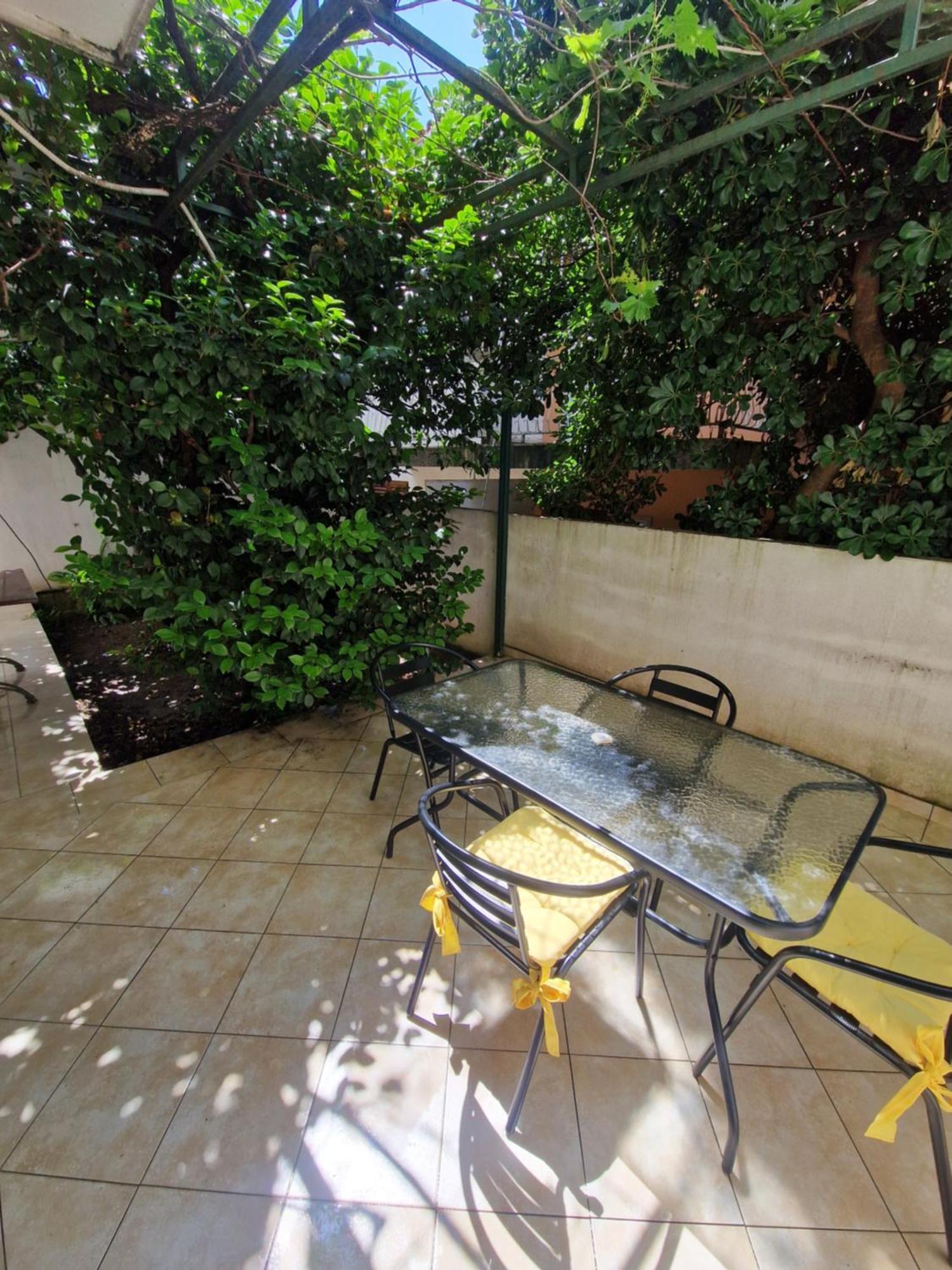 Guest House Damjana Будва Номер фото